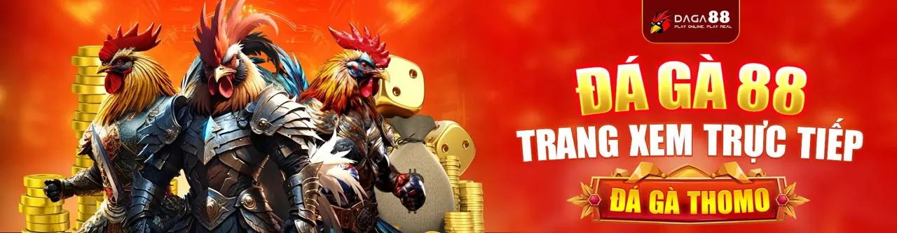 Đấu gà trực tuyến kịch tính tại 789club uy tín